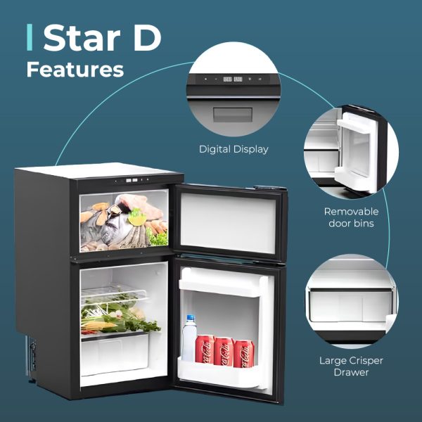 star D graphic